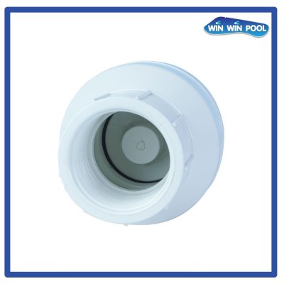 Spring Inline Check 2"